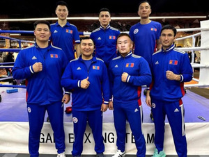 Боксын ДАШТ эхэллээ